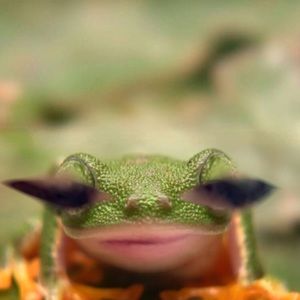 Meet your Posher, Avery